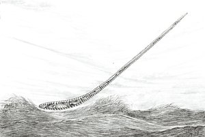 Stormskabere ved Mweru-søen, 2023 af Vincent Alexander Booth