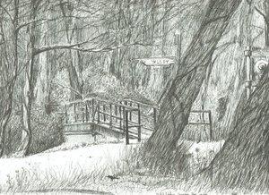 Den gamle metalbro, Bramhall park, 2004 af Vincent Alexander Booth