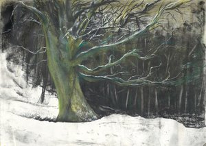 Træ i vintersne ved Osmotherley woods af Vincent Alexander Booth