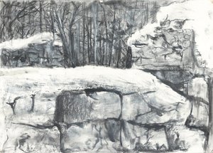 Wall in the Woods Osmotherley af Vincent Alexander Booth