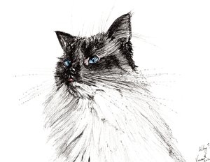 Hvorfor? 2016, (blæk på papir) af Vincent Alexander Booth