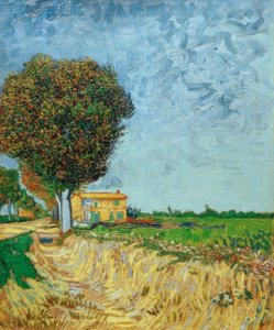 Avenue nær Arles med huse