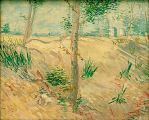 Træstammer i sollys af Vincent van Gogh