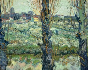 Udsigt over Arles af Vincent van Gogh