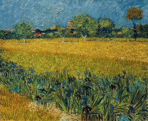 Udsigt over Arles med irisblomster i forgrunden