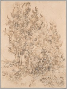Cypresser af Vincent van Gogh
