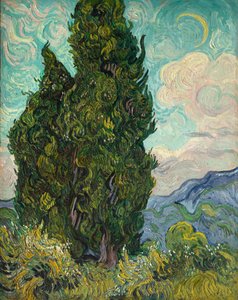 Cypresser af Vincent van Gogh