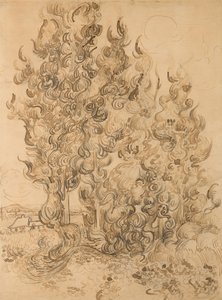 Cypresser af Vincent van Gogh