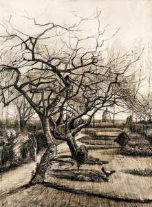 Præstegårdens have i Nuenen. 1884 af Vincent van Gogh