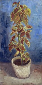 Flammenælde i en blomsterpotte af Gogh, Vincent, van (1853-1890). Olie på lærred, størrelse: 42,1x21,9 af Vincent van Gogh