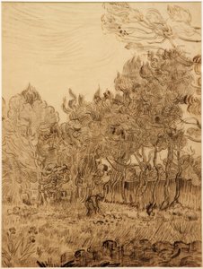 I parken ved sanatoriet af Vincent van Gogh