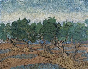 Olivenlund af Vincent van Gogh