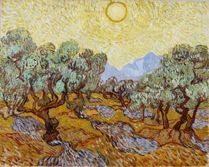 Oliventræer af Vincent van Gogh