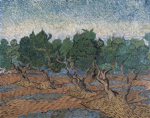 Olivenlund. 1889 af Vincent van Gogh