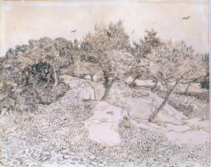 Oliventræer i Montmajour af Vincent van Gogh