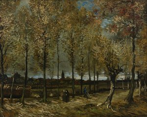 Popler i nærheden af Nuenen af Vincent van Gogh