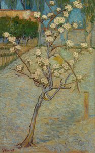 Lille pæretræ i blomst af Vincent van Gogh