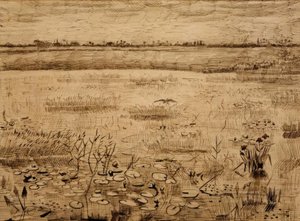 Sumplandskab med åkander af Vincent van Gogh