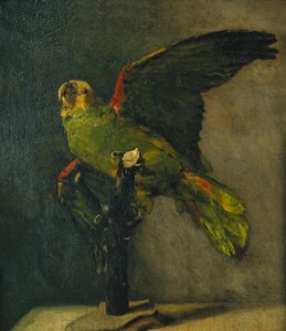 Den grønne papegøje; Le Perroquet Vert, 1885 af Vincent van Gogh