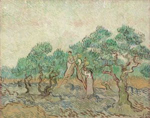 Olivenhaven, 1889. af Vincent van Gogh