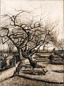 Præstegården i Nuenen om vinteren - Oeuvre de Vincent, van Gogh (1853-1890) - 1884 - Pen, pensel, blæk på papir - 51,5x38 - Szepmuveszeti Muzeum, Budapest af Vincent van Gogh