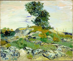 Klipperne af Vincent van Gogh