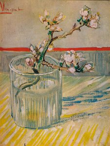 Mandelblomstrende stilk, 1888 af Vincent van Gogh