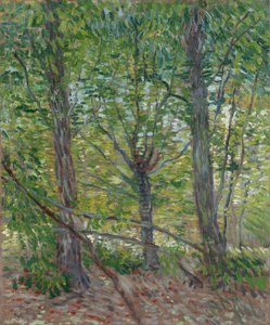  af Vincent van Gogh
