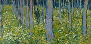 Aluskasvillisuus kahdella hahmolla af Vincent van Gogh