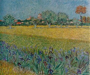 Udsigt over Ales med iris i blomst, 1888 af Vincent van Gogh
