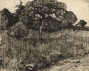 Grædende træ, 1889 af Vincent van Gogh
