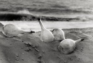"Flasker på stranden" af Vincenzo Balocchi