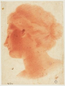 Hoved af Venus de Medici af Vincenzo Dandini