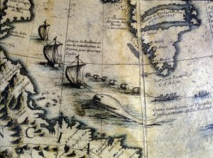Hvalfangst: Hvalen bringes i land for at udvinde olie. Fra Coronellis klode. 17. århundrede.