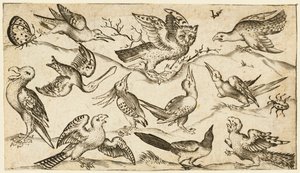Elleve fugle og to insekter på minimal jord med ugle med udstrakte vinger..., 1572.