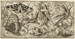 Gruppe af insekter og dyr på en almindelig grund med græs..., 1530 - 1562. af Virgil Solis