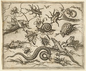 Gruppe af insekter og krybdyr på almindelig jord med sten, inklusive en leguan, en firben..., 1557.