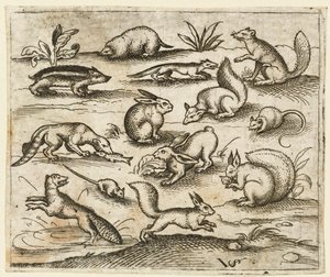 Gruppe af små skovdyr, der spiser og løber rundt om en dam, inklusive en mus..., 1557.