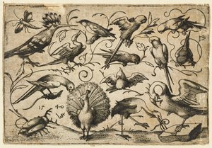 Ti fugle på små løvranker med en stork, der binder en ranke om en pelikans ben..., 1540.
