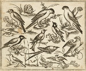 Elleve fugle sidder på pletter af blomstrende løv og små grene på en minimal grund med en sommerfugl, fra Douce Ornament Prints Album I af Virgilius the elder (after) Solis
