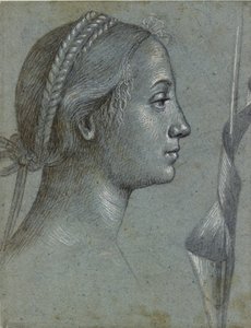 Hovedet af en kvinde med en vimpel viklet om en pæl, slutningen af det 15. århundrede af Vittore Carpaccio