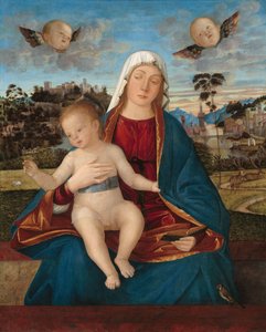 Madonna og barn, ca. 1505-10 (olie på poppelpanel) af Vittore Carpaccio