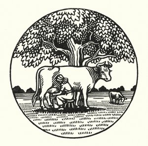 Illustration til Tess Of The DUrbervilles af Thomas Hardy (gravering)