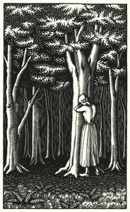 Illustration til Tess Of The DUrbervilles af Thomas Hardy (gravering)