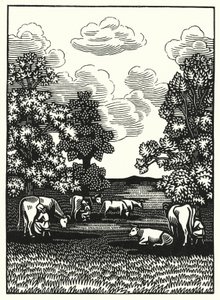 Illustration til Tess Of The D