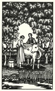Illustration til Tess Of The D
