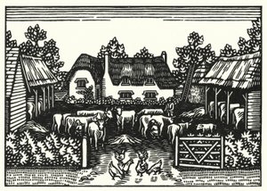 Illustration til Tess Of The DUrbervilles af Thomas Hardy (gravering)