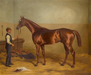 Sir Hugo som tre-årig holdt af Groom in a Stable, ca. 1875-92 (olie på lærred) af W.H. Hopkins
