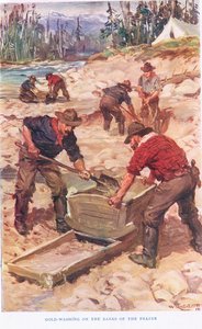 Guldvask på bredden af Frazer, illustration fra 