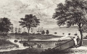 Bøffel (litografi) af John Ward Dunsmore